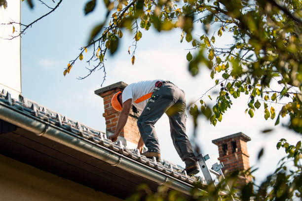 Best Emergency Roof Repair  in Durant, IA