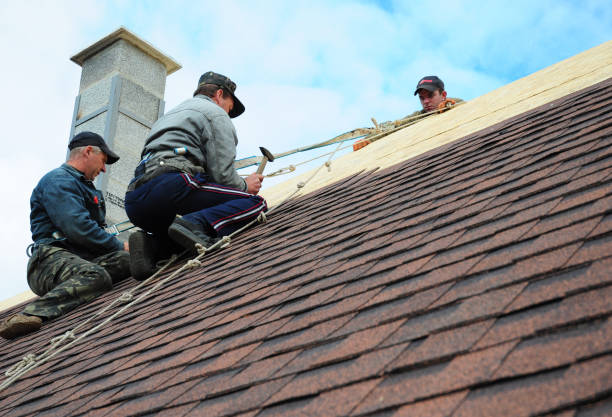 Best Roofing Contractors for Homes  in Durant, IA